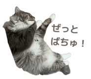 844332268