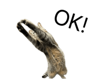 844333589