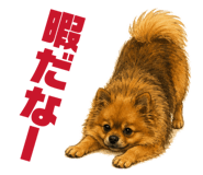 844333942