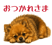 844333944