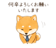 844333974
