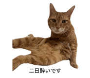 844333999