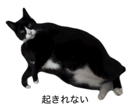 844334002
