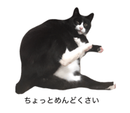 844334003