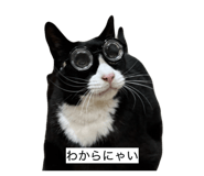 844334004