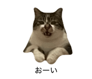 844334009