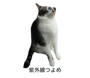 844334013