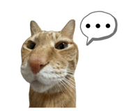 844334017