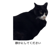 844334018