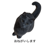 844334020