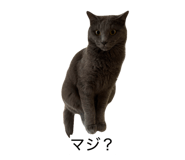 844334021
