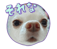 844334039