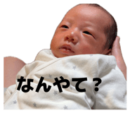 844334081