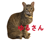 844334181