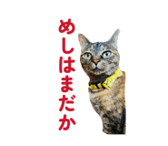 844334182