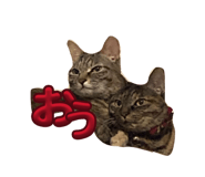 844334184