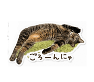 844334478