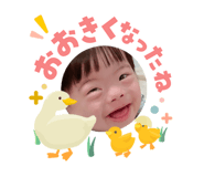 844334576