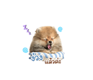 844334889