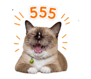 844334986