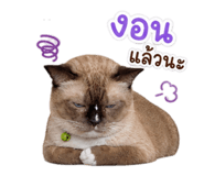 844334987