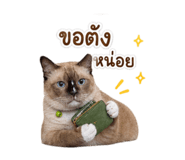 844334997