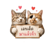 844335134
