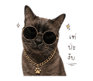 844335223
