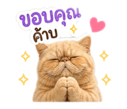 844335503