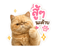 844335505