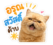 844335506