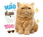 844335507