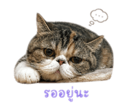 844335519