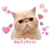 844335523
