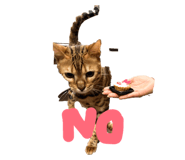 844335673