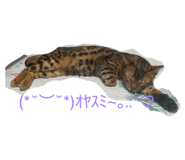 844335677