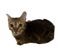 844335678