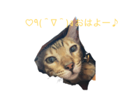 844335679