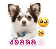 844335824