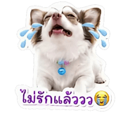 844335825