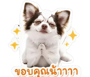 844335826