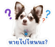 844335827