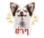 844335829