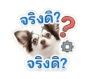 844335831