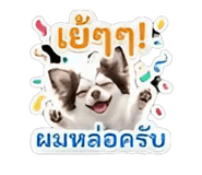 844335833