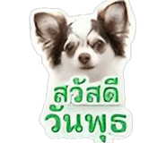 844335836