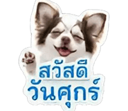 844335838
