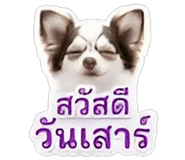 844335839