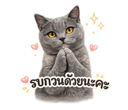 844335915