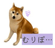 844336132